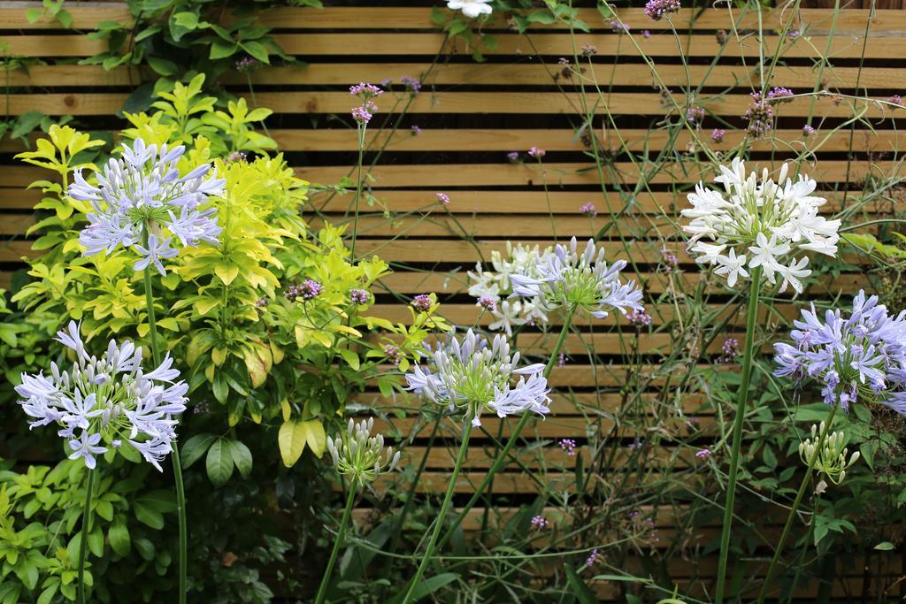 לונדון Shoreditch 1 With Garden חדר תמונה